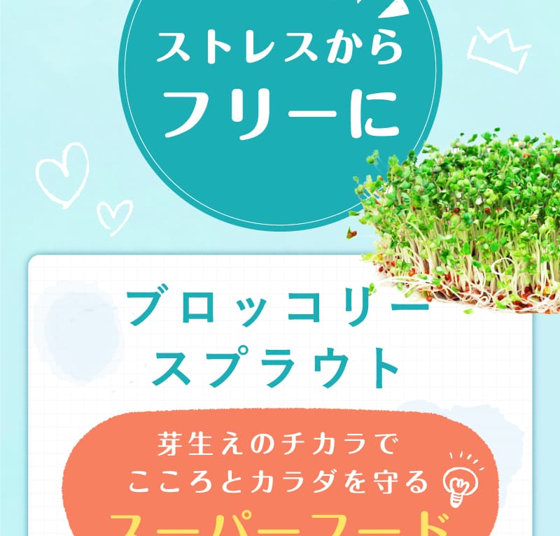 ストレス抵抗をサポートするブロッコリースプラウト