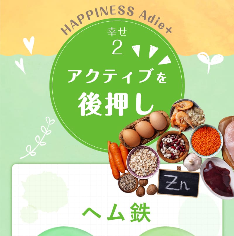 アクティブを後押しするヘム鉄